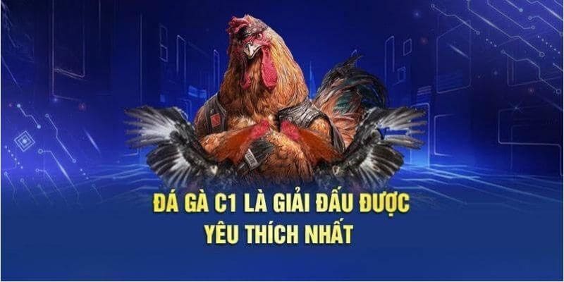 Tìm hiểu các thông tin đặc sắc nhất về loại hình đá gà C1 trực tuyến