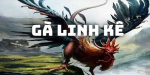 Đánh giá tổng quan về Gà linh kê